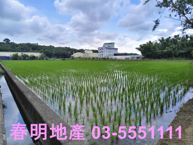 新竹農地-7
