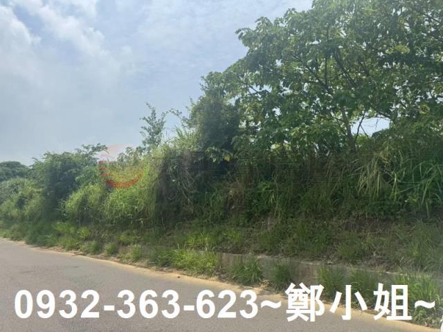 桃園農地-10