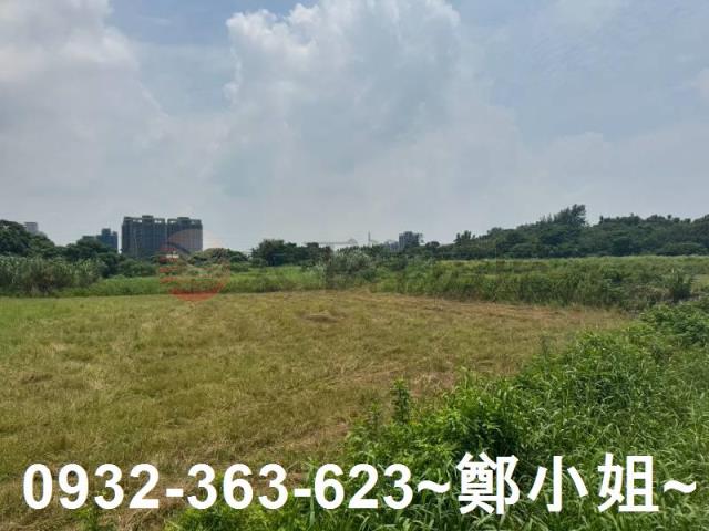 桃園農地-4