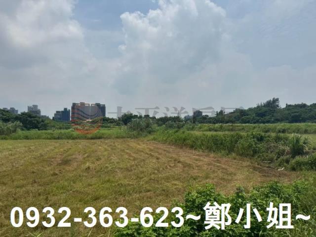 桃園農地-5