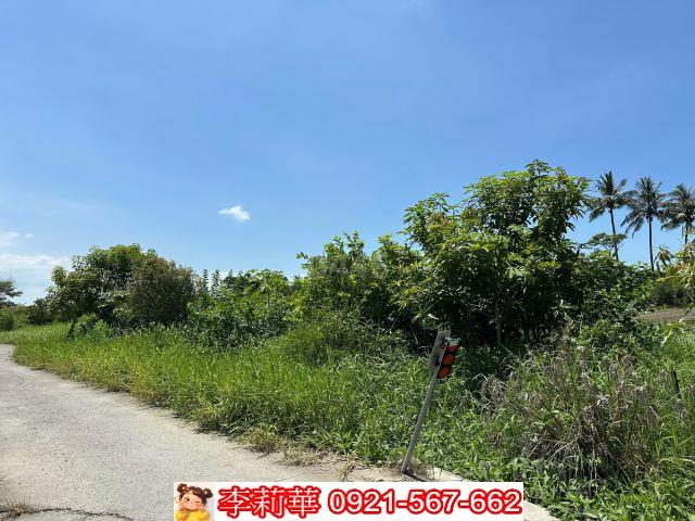 台南農地-2
