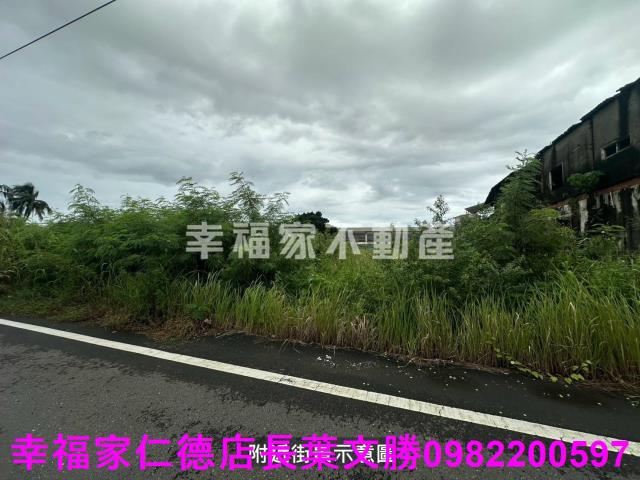 台南善化工業地-2