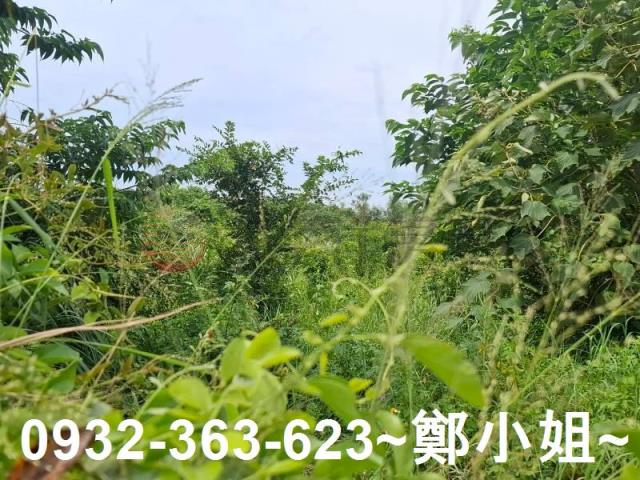 桃園平鎮農地-12