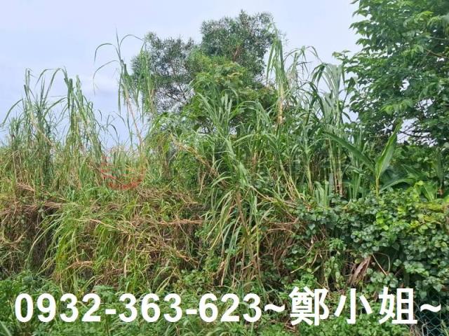 桃園平鎮農地-13