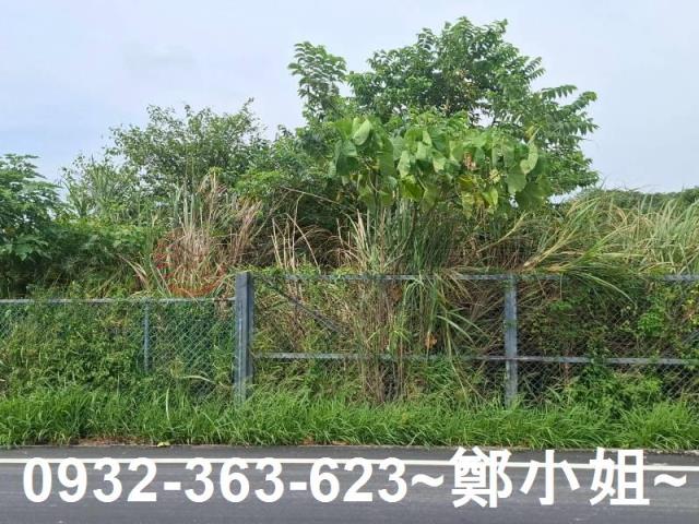 桃園平鎮農地-4