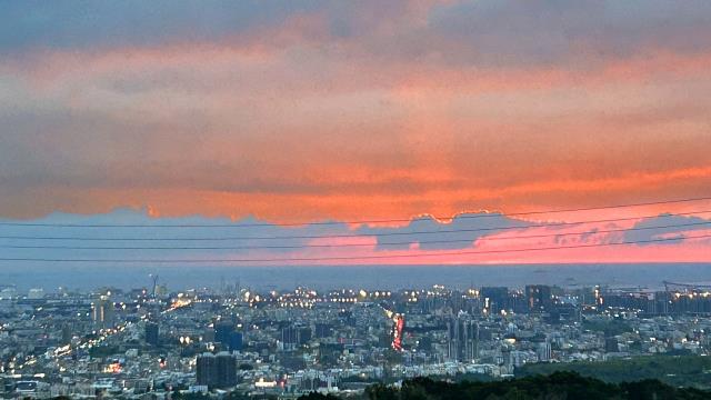 台中沙鹿保護區-10