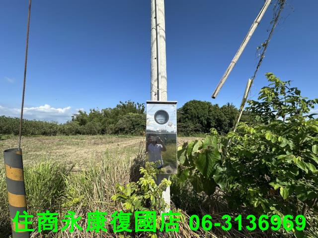 左鎮農地-7