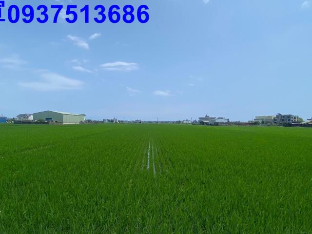 宜蘭農地-4
