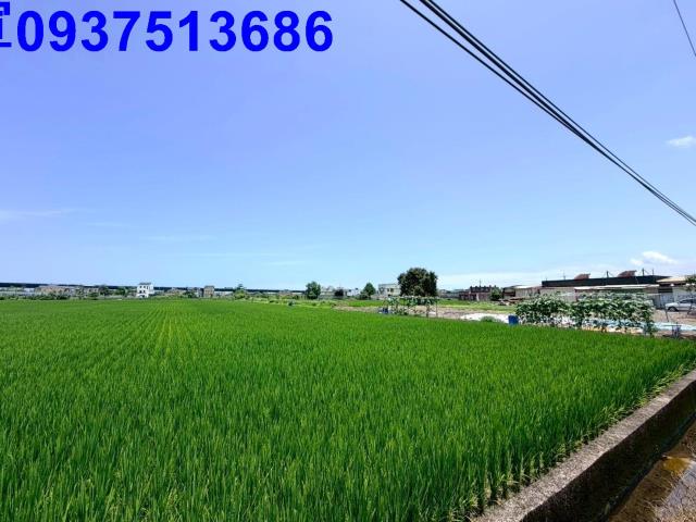 宜蘭宜蘭市農地-1
