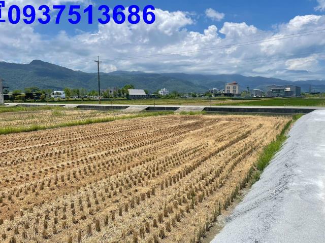 宜蘭礁溪農地-2