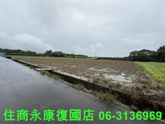 台南善化農地-1