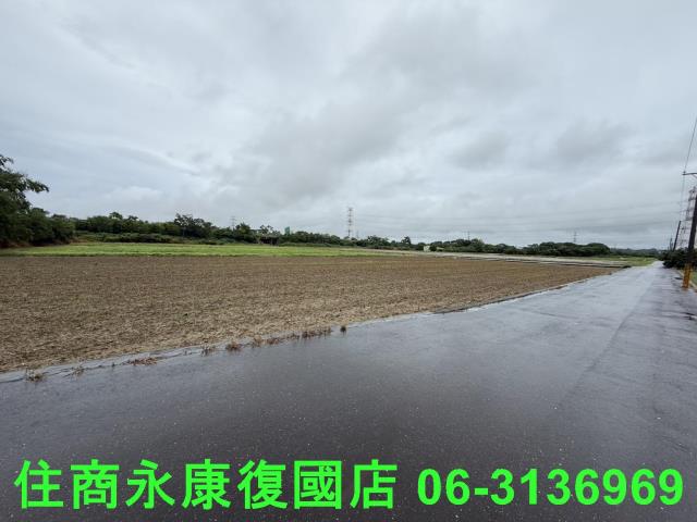 台南善化農地-5