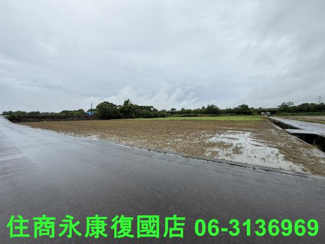 台南善化農地-6