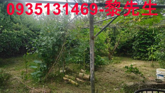 北埔農地-9