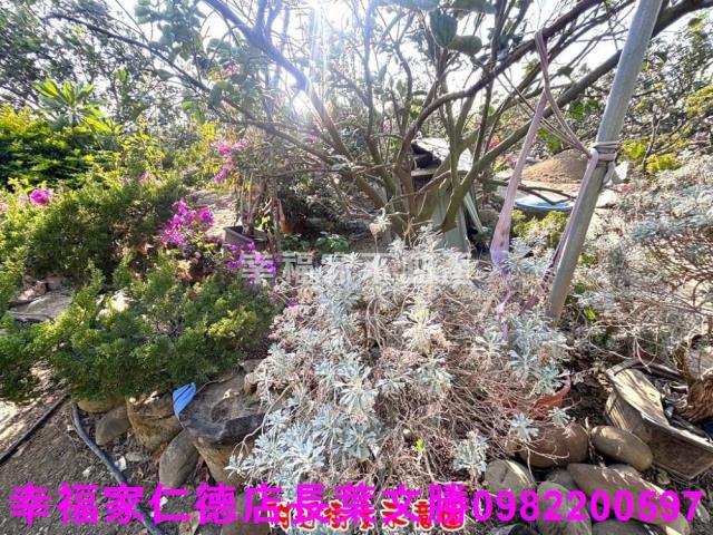麻豆農地-12