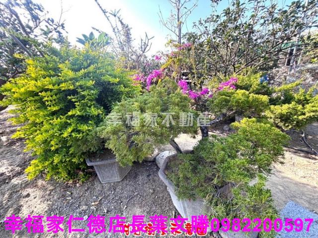 麻豆農地-7
