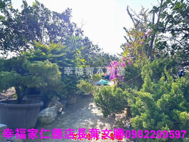 麻豆農地-8