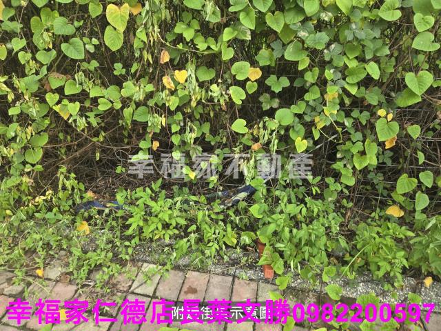 麻豆工業地-4