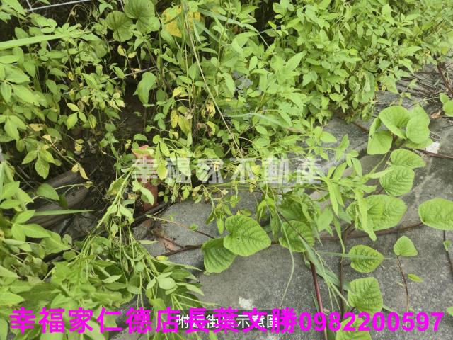 麻豆工業地-5