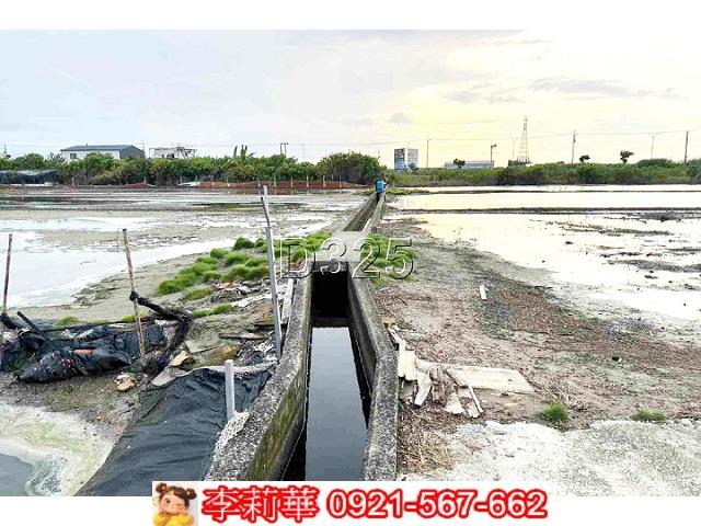 安南農地-10