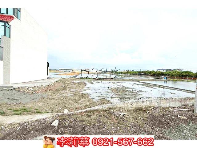 安南農地-4