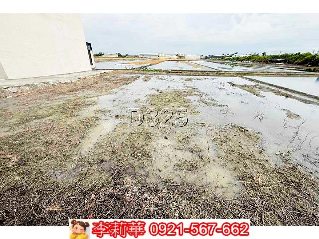 安南農地-5
