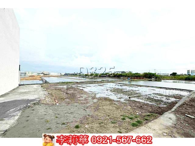 安南農地-6