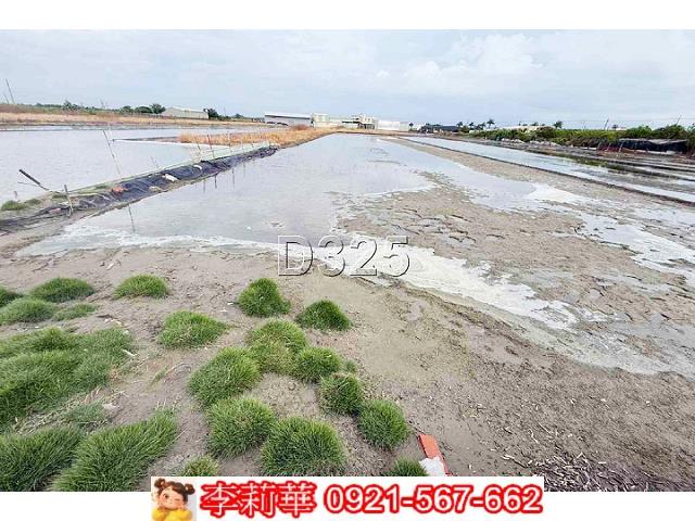 安南農地-7