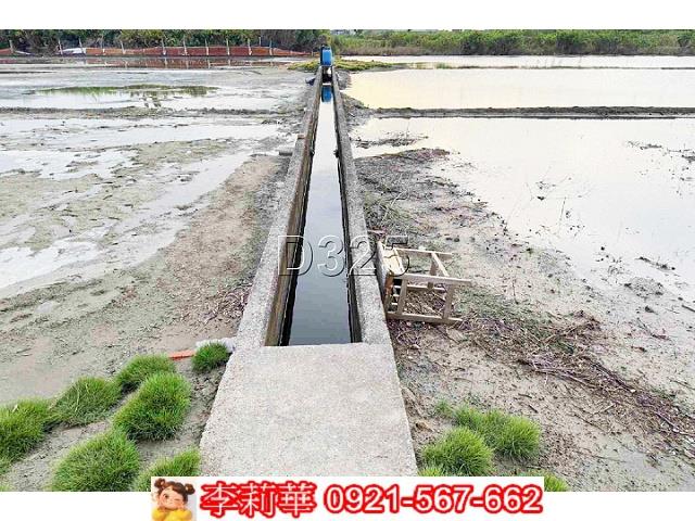 安南農地-9