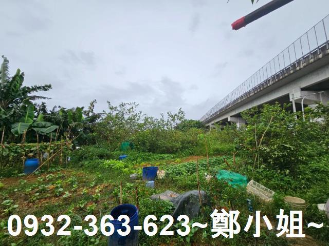 桃園區農地-5