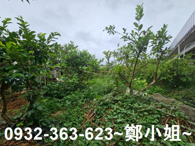 桃園區農地-7