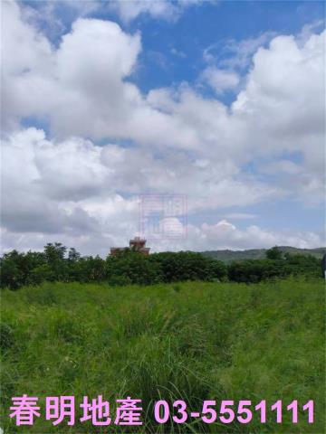 竹北農地-10