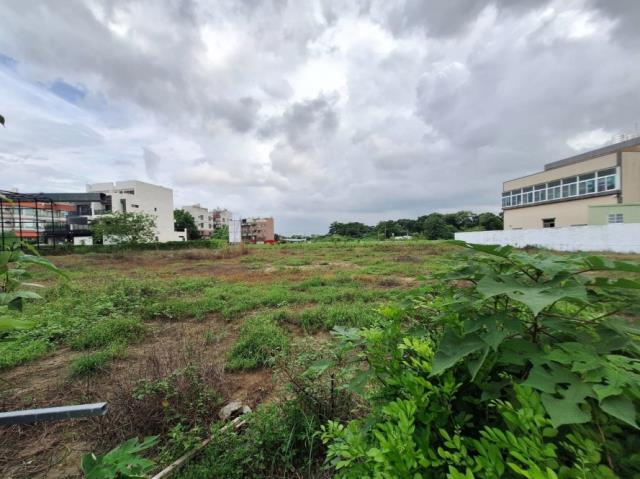 新化農地-9