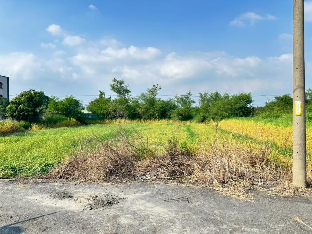 水林農地-4