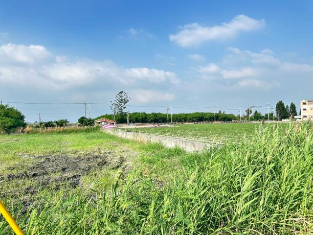 水林農地-6