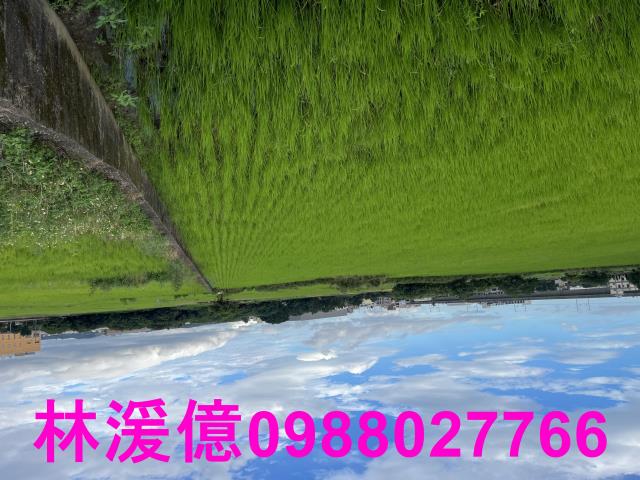 桃園農地-2