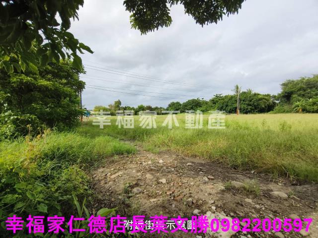 台南善化農地-2