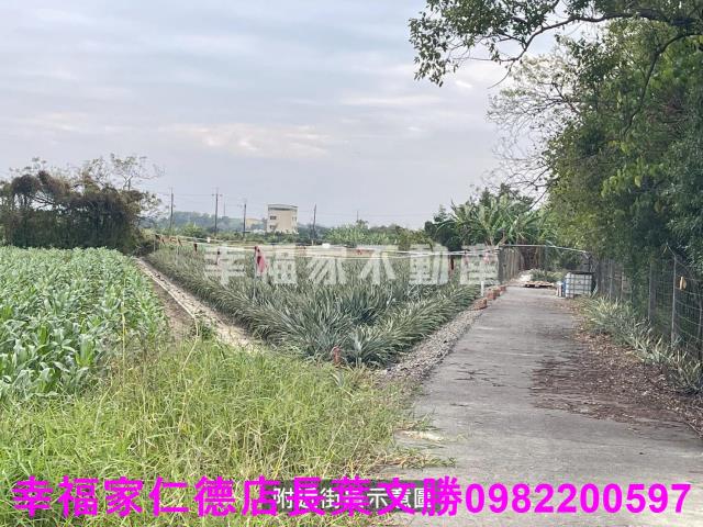 台南新市農地-3
