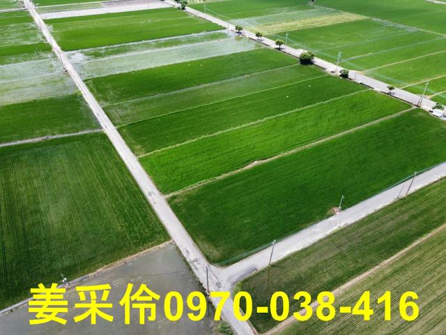 嘉義農地-3