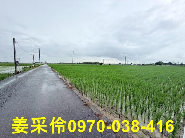 嘉義農地-8