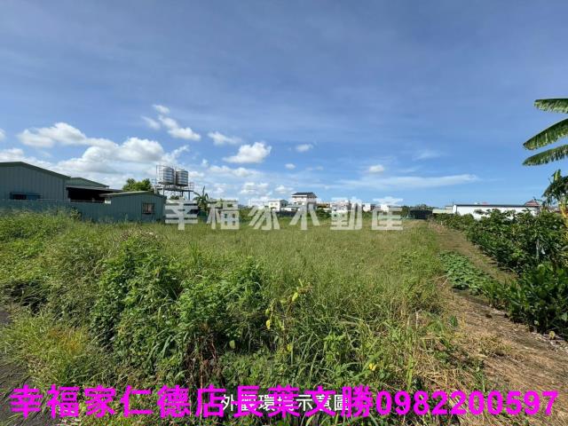 台南佳里農地-4