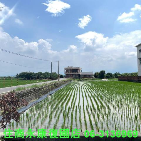 台南白河農地-14