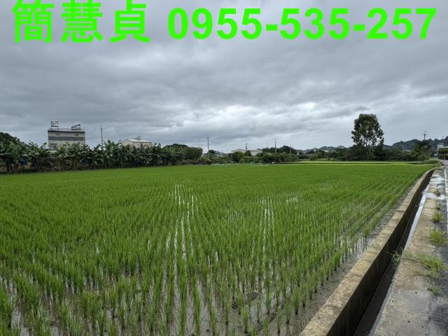草屯農地-5