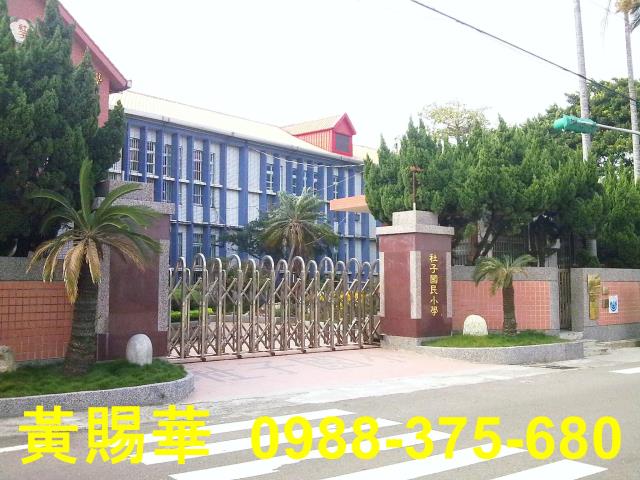 桃園農地-1