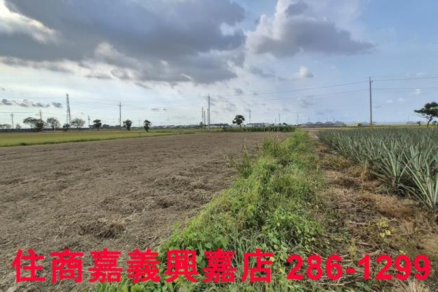 嘉義民雄農地-4