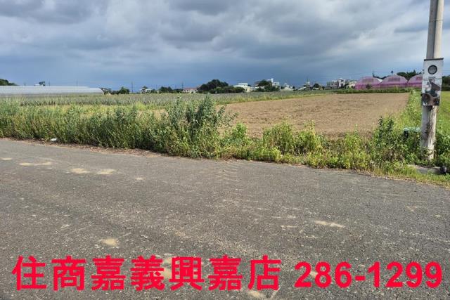 嘉義民雄農地-9