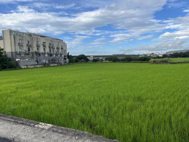 蘆竹農地-3