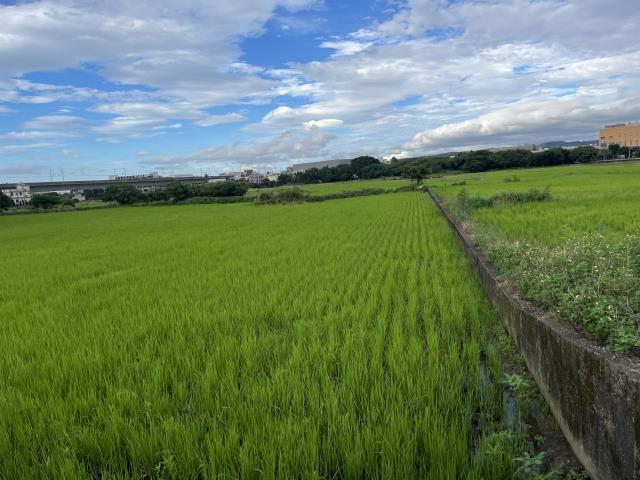 蘆竹農地-5