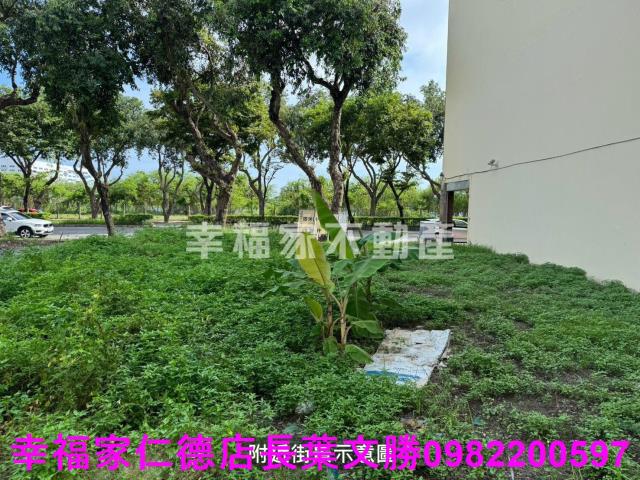台南建地-13