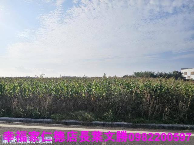 台南農地-11
